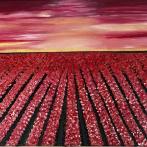 Amsterdam in Bloom(Tulip Field)